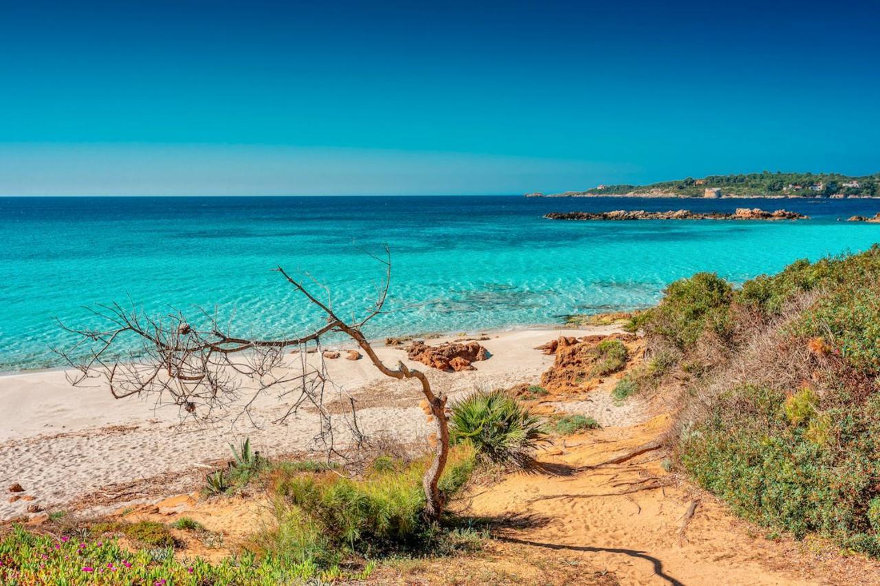 Ville In Resort Con Piscina A 2 Km Da Alghero Eksteriør billede